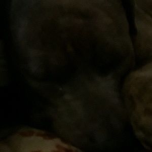 Meet your Posher, Sandy